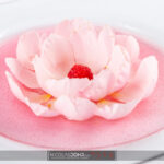 Photo Culinaire