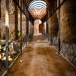 Sur le Mont Palatin à Rome
