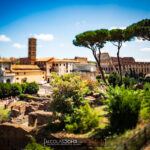 Le Colisée vu depuis le Forum à Rome