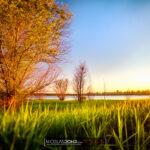 Sur les rives du Lac d'Orient dans l'Aube