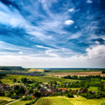Vignes de Champagne dans l'Aube