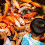 Enfants et carpes Koï, Shanghaï, Chine