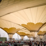 Déambulation dans le parc de l'Exposition Universelle de 2010, Shanghaï, Chine