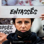 Reportage pour l'association L214