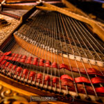 Piano Th. Steinweg Nachf. Flügel 188cm 1894 Grotrian Helfferich Schulz
