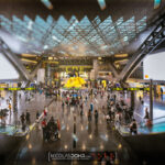Ours géant de l'aéroport de Doha au Qatar